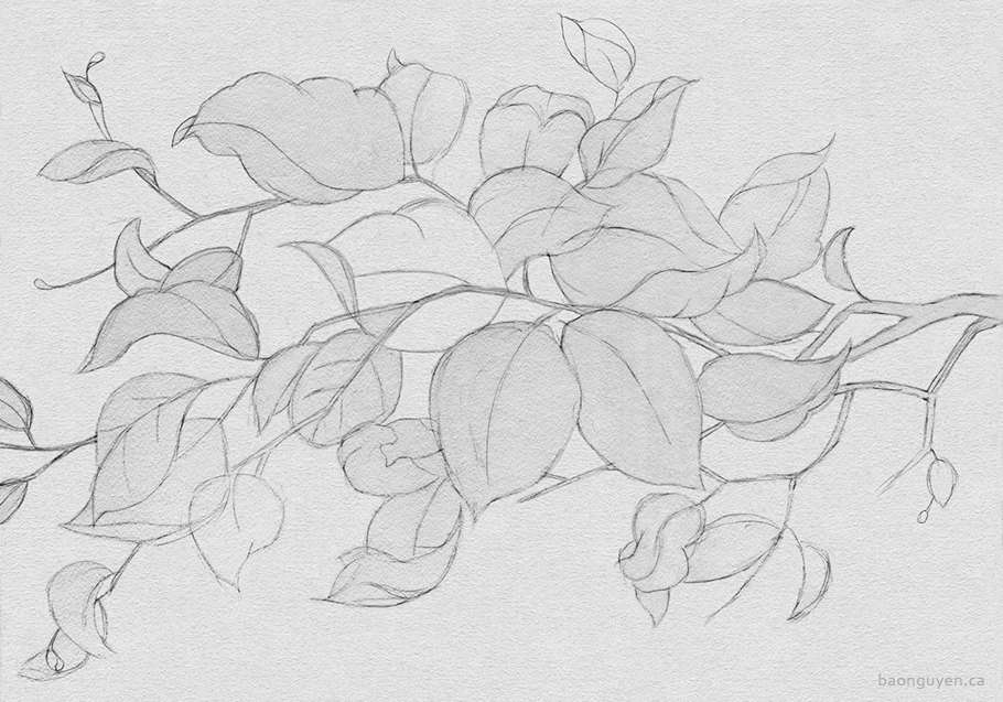 Autumn Leaves graphite pencil sketch