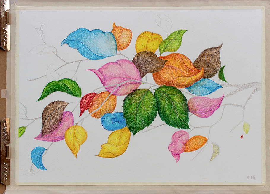 Autumn Leaves drawing halfway done