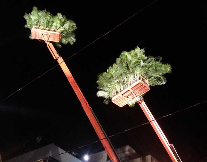 Mechanical palm trees public art